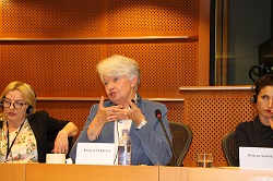 MEP Krystyna Lybacka speaking at the LLL IG meeting